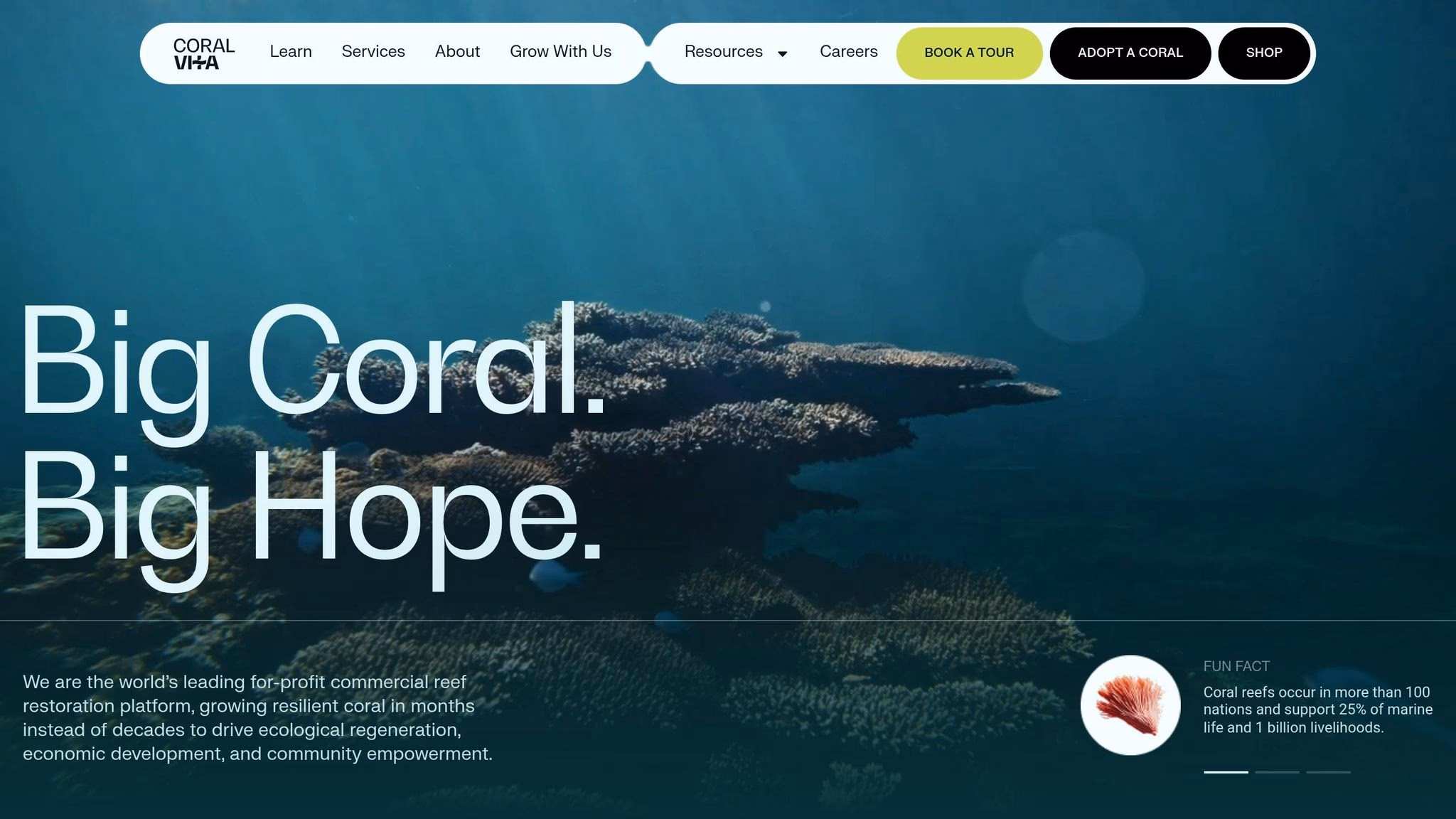 Coral Vita