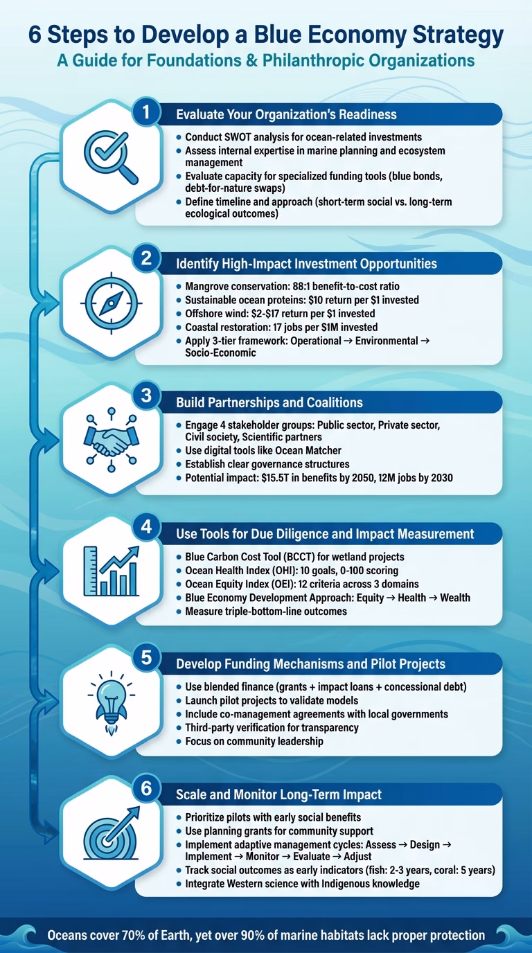 6 Steps to Develop a Blue Economy Strategy for Philanthropic Organizations