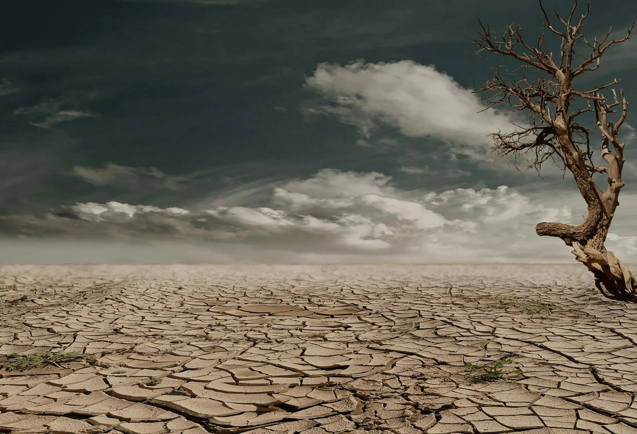 Cracked dry earth showing effects of drought