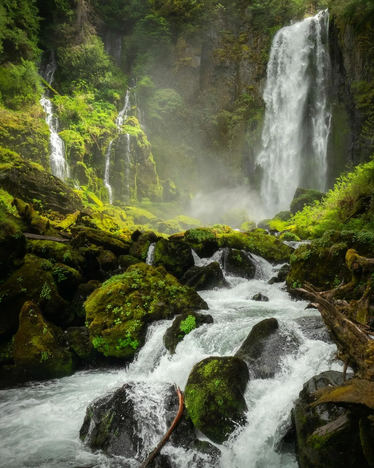 Clean flowing river through forested watershed demonstrating source water protection