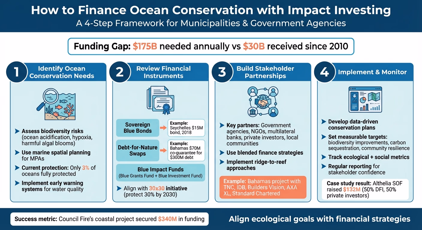 4-Step Framework for Financing Ocean Conservation Through Impact Investing