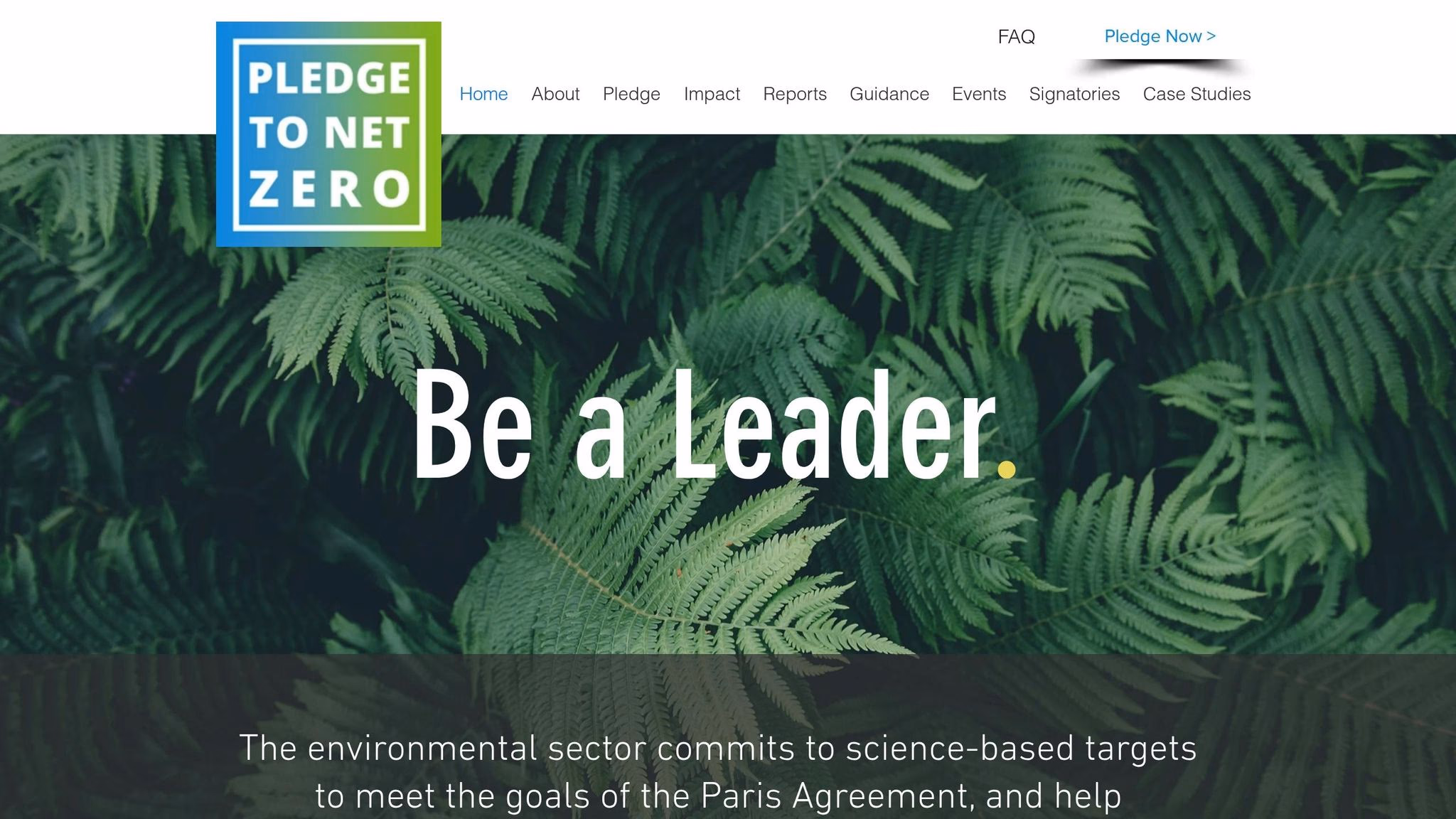 Pledge to Net Zero