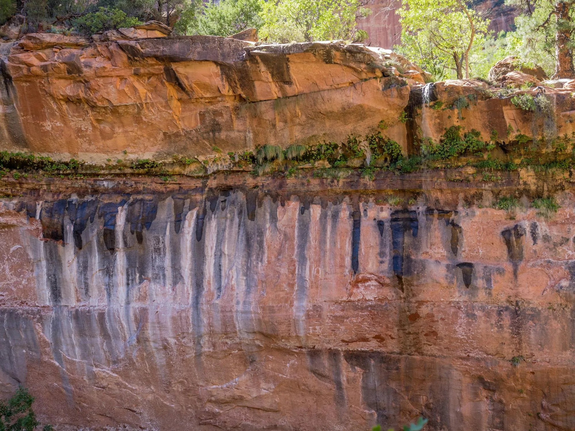 Solar panels in a field with energy storage containers nearby