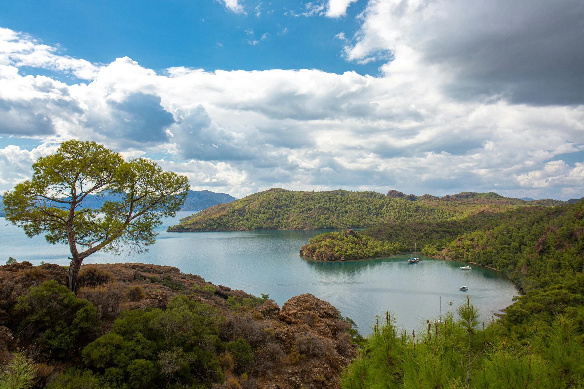 A wooded lake cove under a cloudy sky