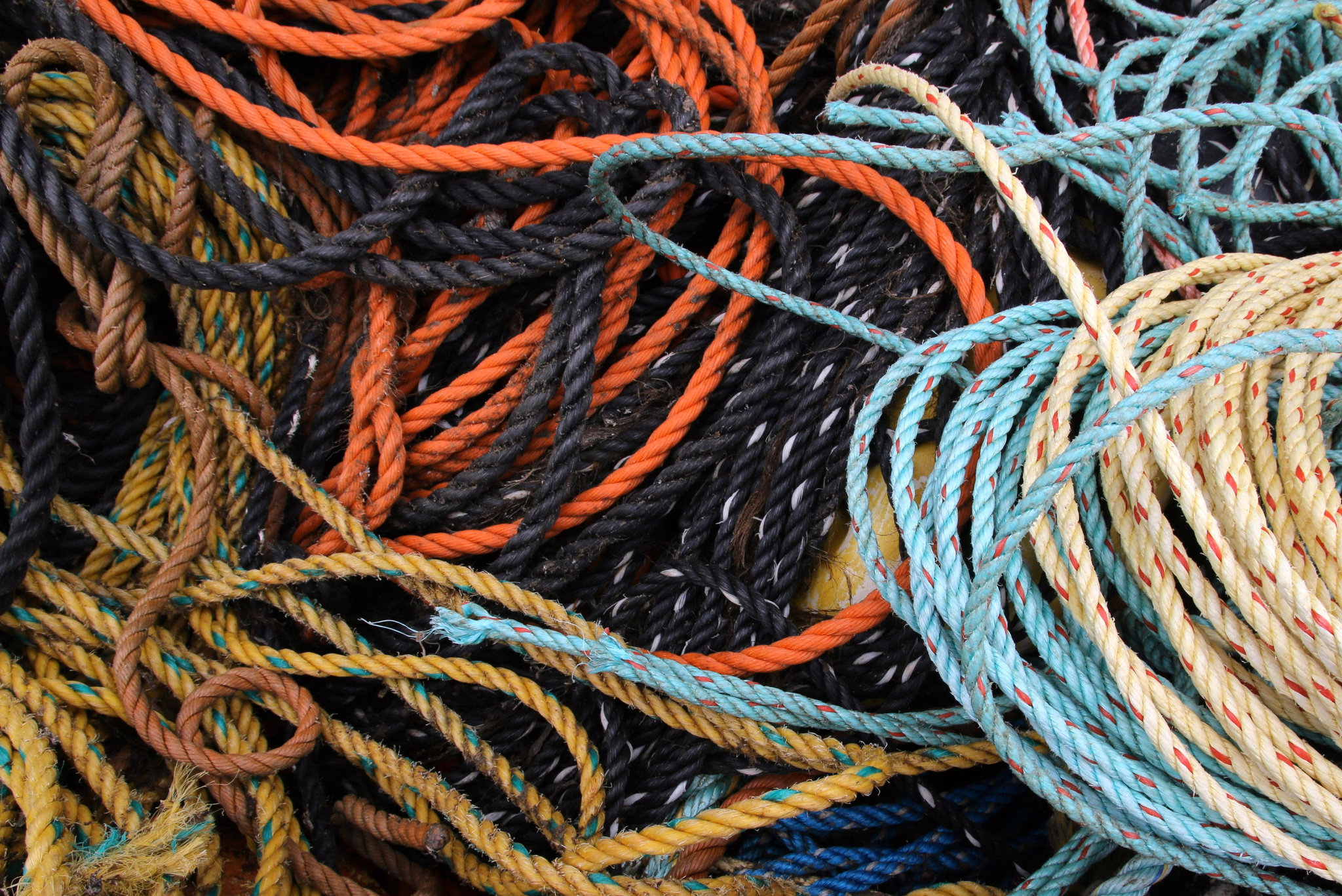 Coils of colorful fishing rope