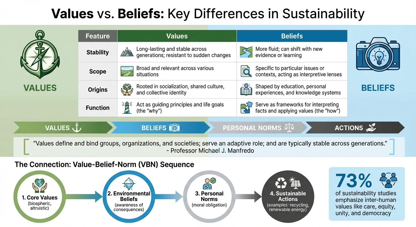Values vs Beliefs in Sustainability: Key Differences and Impact