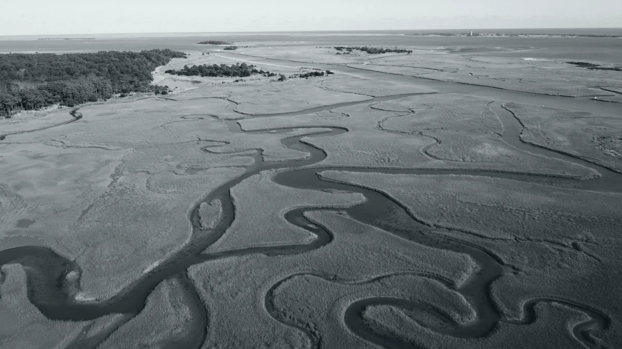Creeks winding through a Virginia salt marsh, seen from above