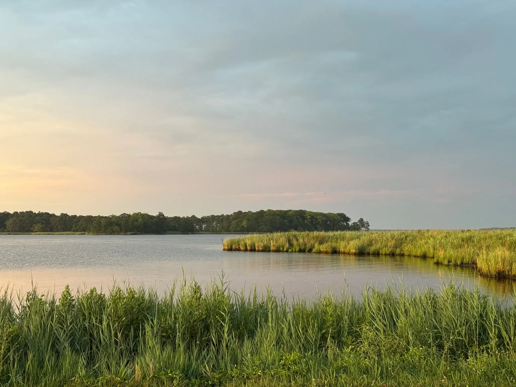 A coastal marsh at sunset in Rock Hall, on Maryland’s Eastern Shore