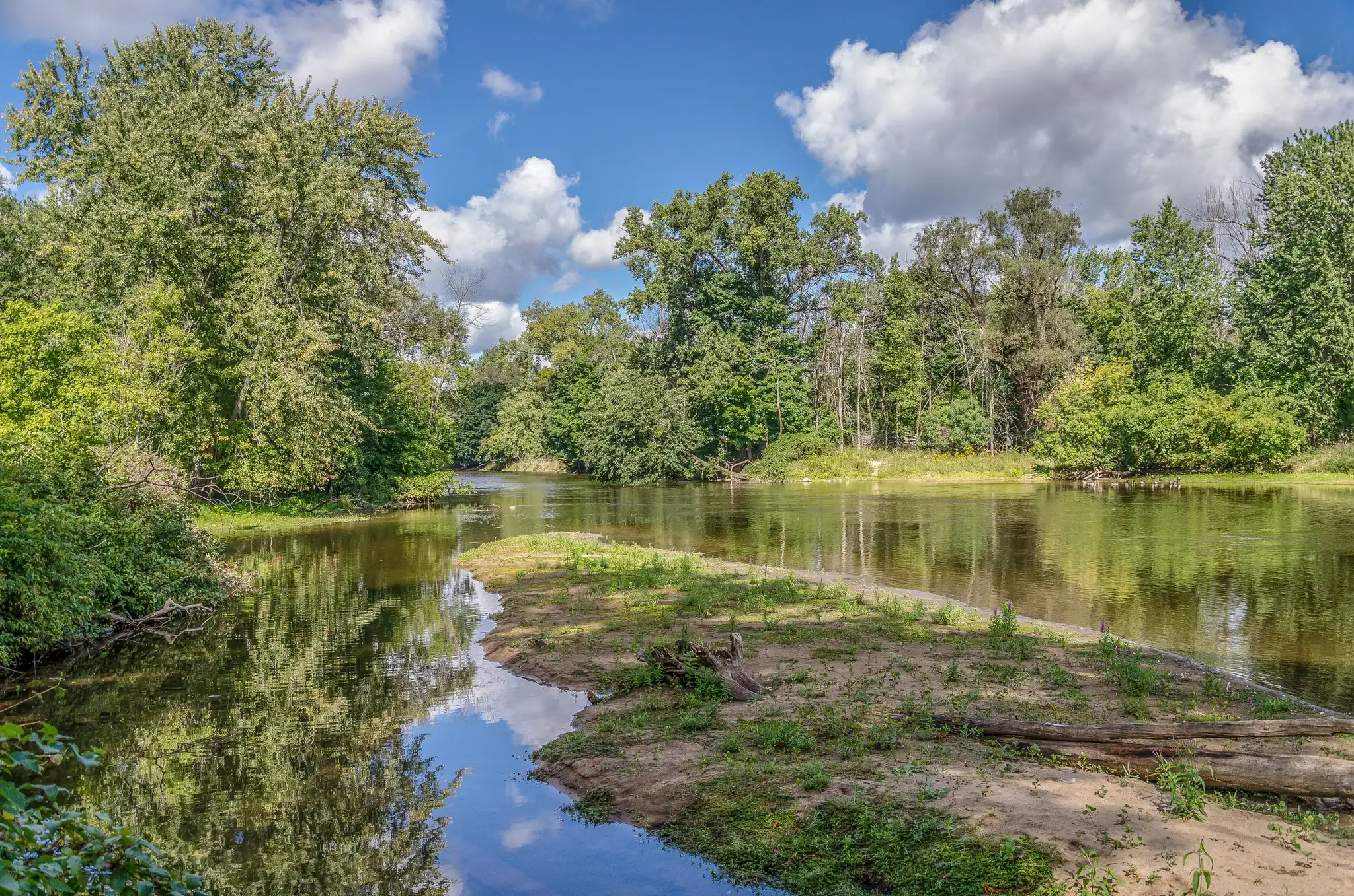 A river winding past a sandbar in Big Rapids, Michigan