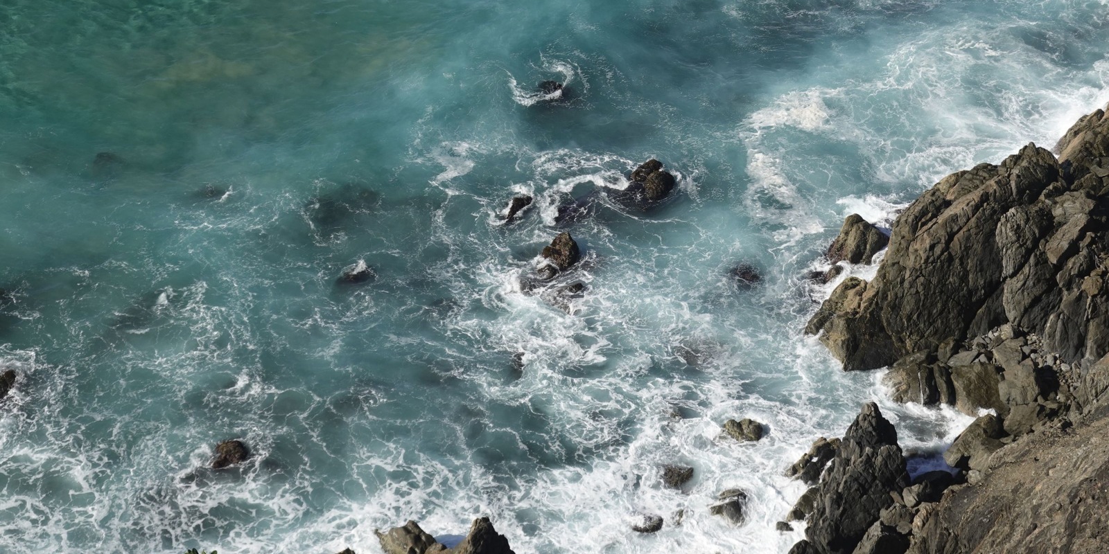 What drives the cost of custom sustainability software? A budget brief for buyers