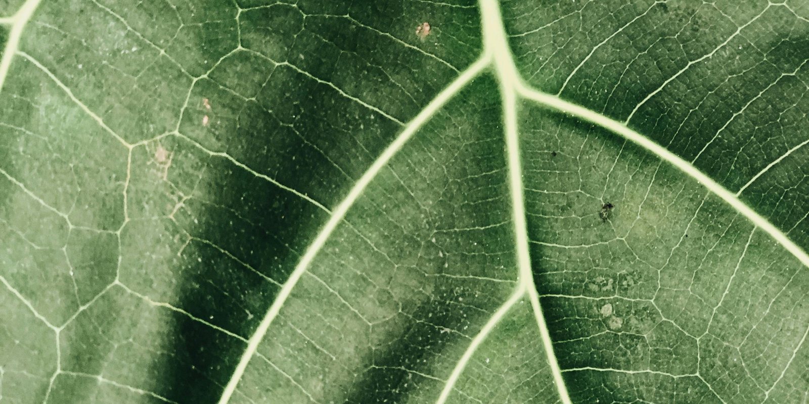 How to substantiate environmental claims AI can cite