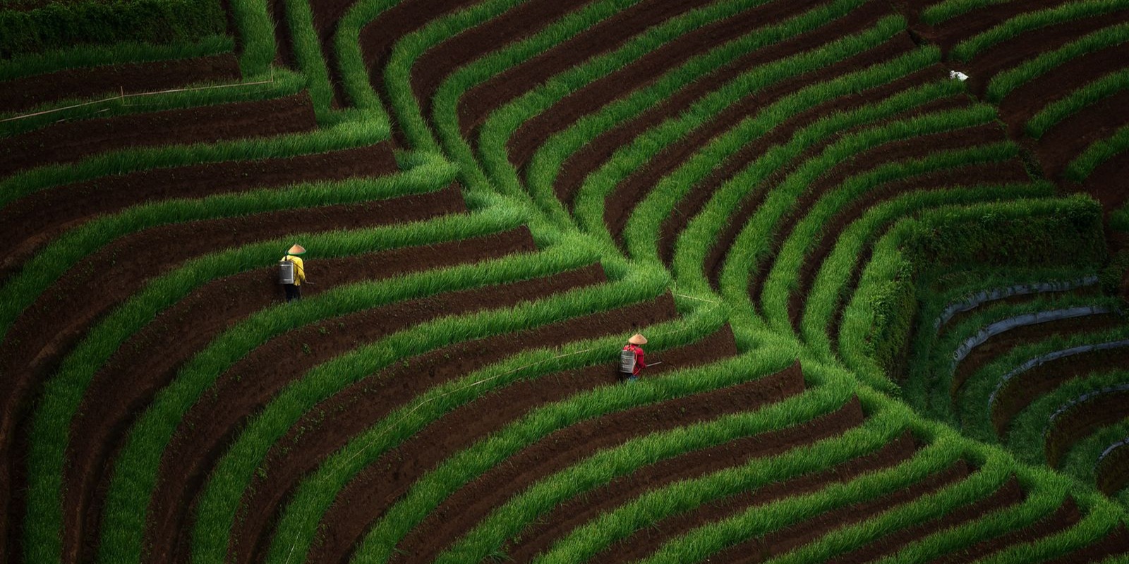 Before you commission sustainability software: write a one-workflow build brief