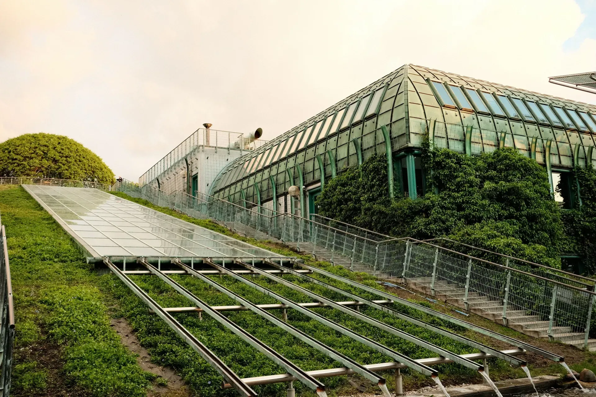 A green roof on a city building